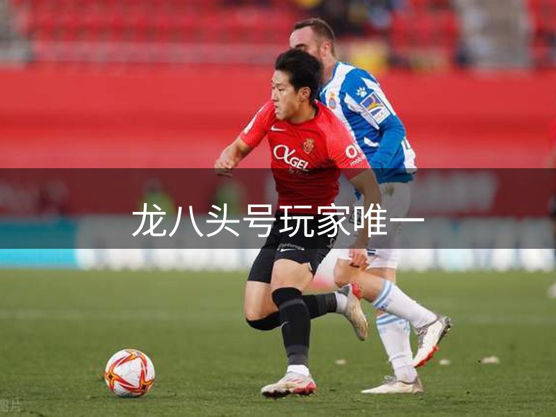 了解龙八头号玩家唯一